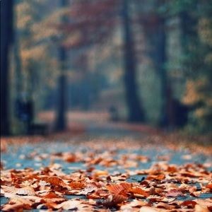 Meet your Posher, Mindy